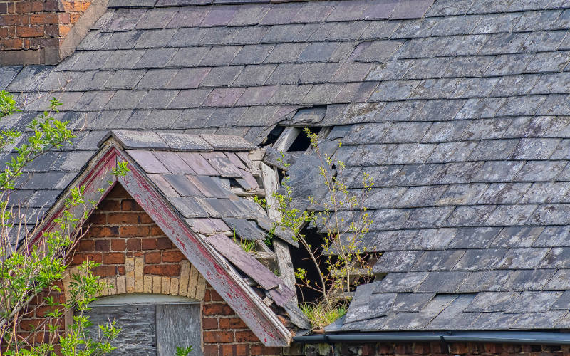 7 Warning Signs Your Roof Needs Repair Before It Becomes a Major Problem